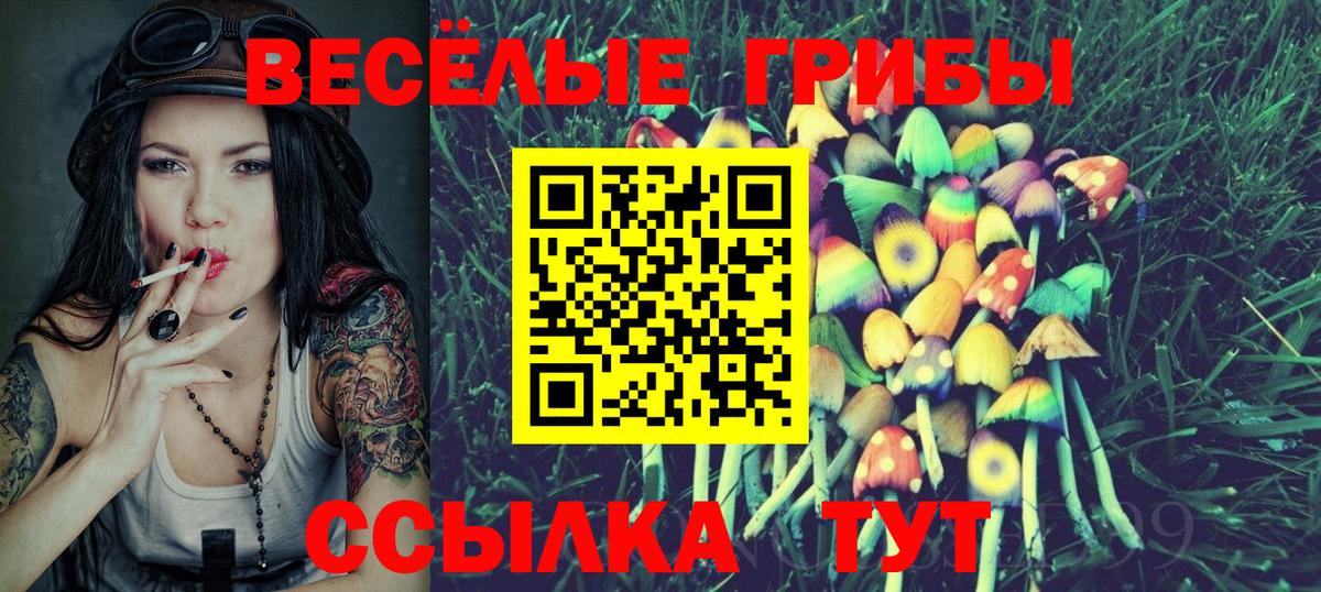 Псилоцибиновые грибы ЛСД  Галлюциногенные грибы ЛСД  Вход с VPN  Гудермес 