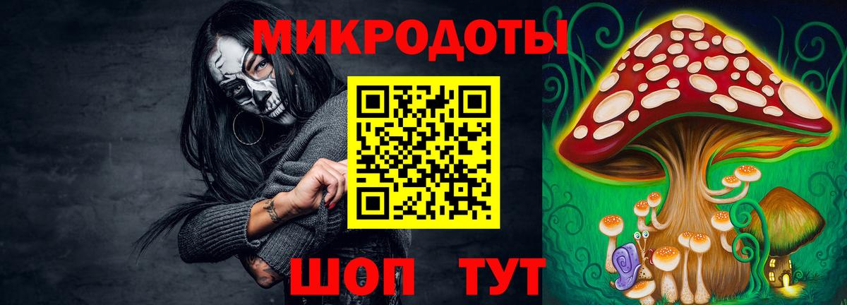 Псилоцибиновые грибы прущие грибы Гудермес